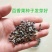 百香果种子四季播满天星紫香西番莲多年生黄金鸡蛋果种籽瓜果