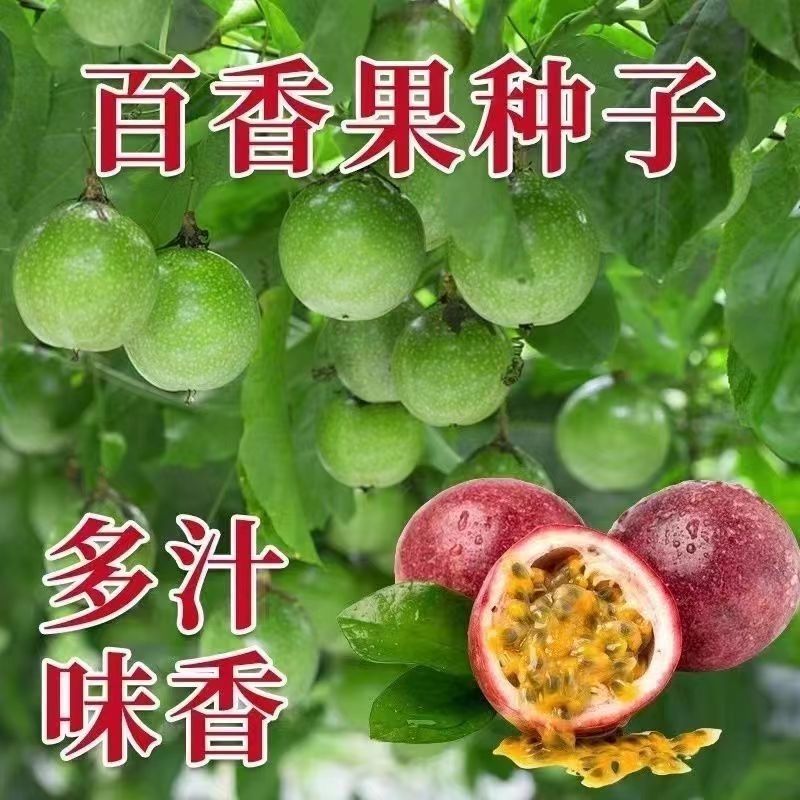 百香果种子四季播满天星紫香西番莲多年生黄金鸡蛋果种籽瓜果