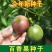 百香果种子四季播满天星紫香西番莲多年生黄金鸡蛋果种籽瓜果