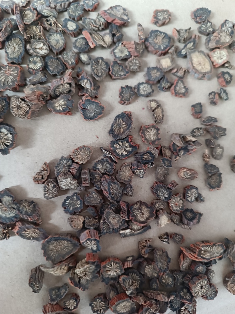 丹参无硫精选新货丹参片泡茶水精选丹参