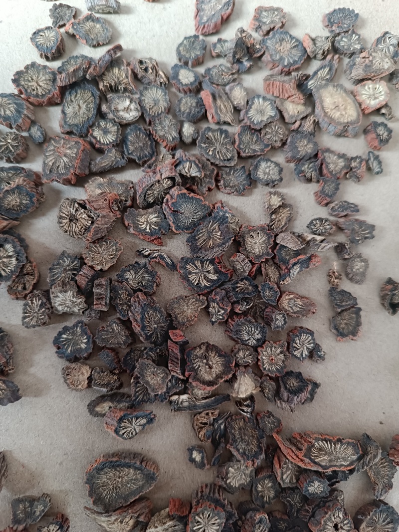 丹参无硫精选新货丹参片泡茶水精选丹参