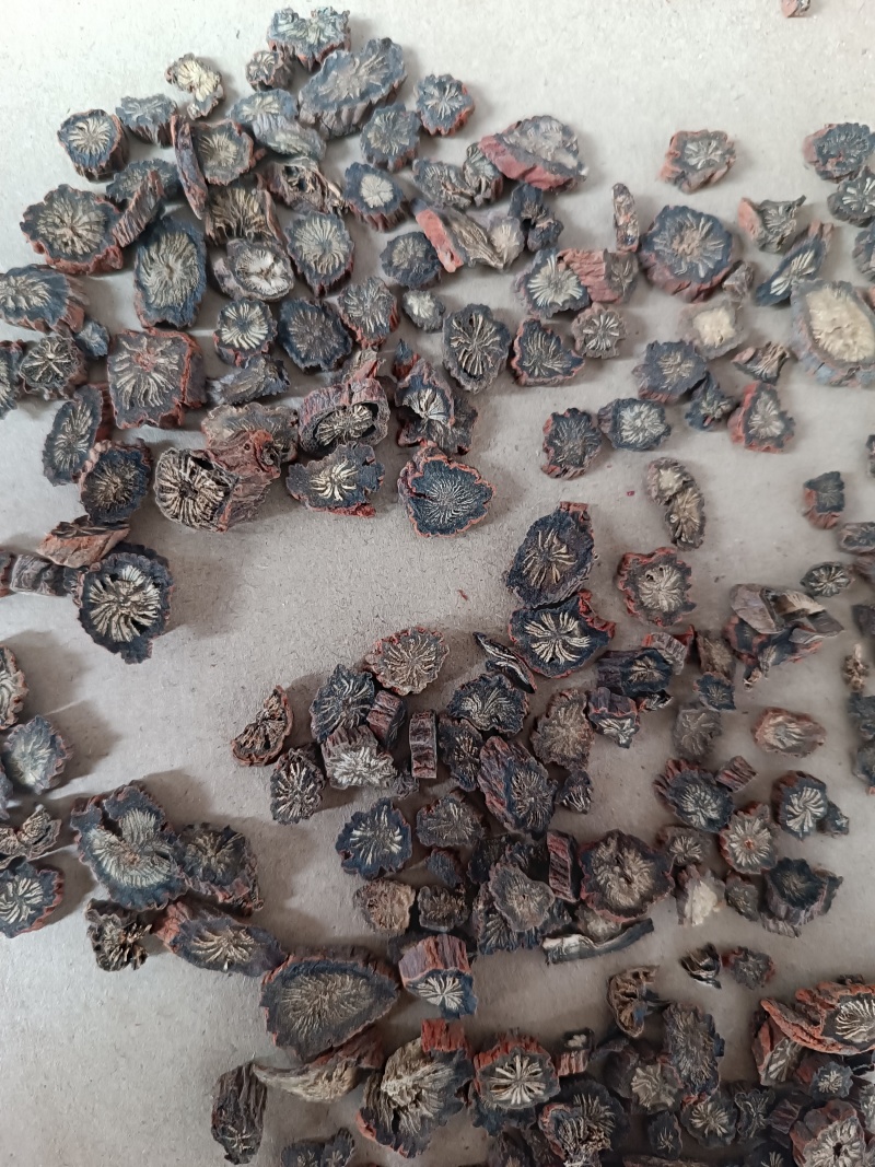 丹参无硫精选新货丹参片泡茶水精选丹参