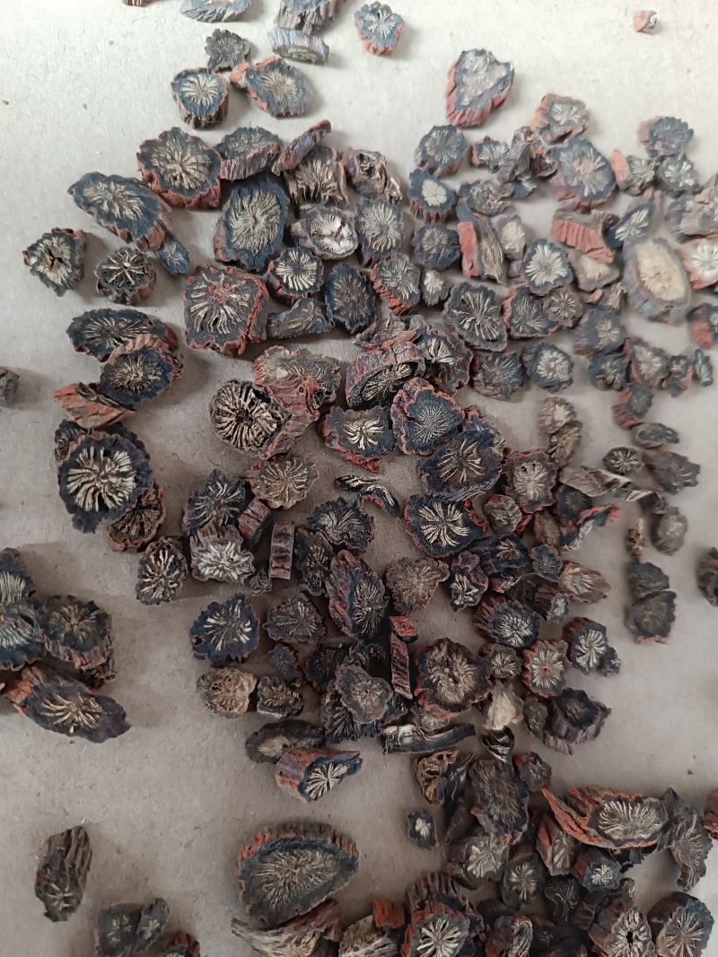 丹参无硫精选新货丹参片泡茶水精选丹参