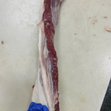 加肉燕翅骨