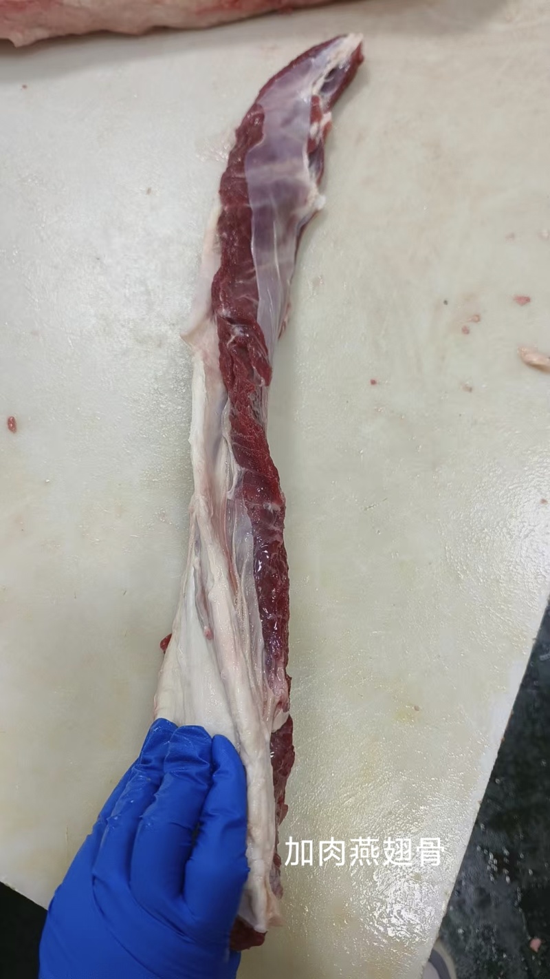 加肉燕翅骨