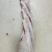 加肉燕翅骨