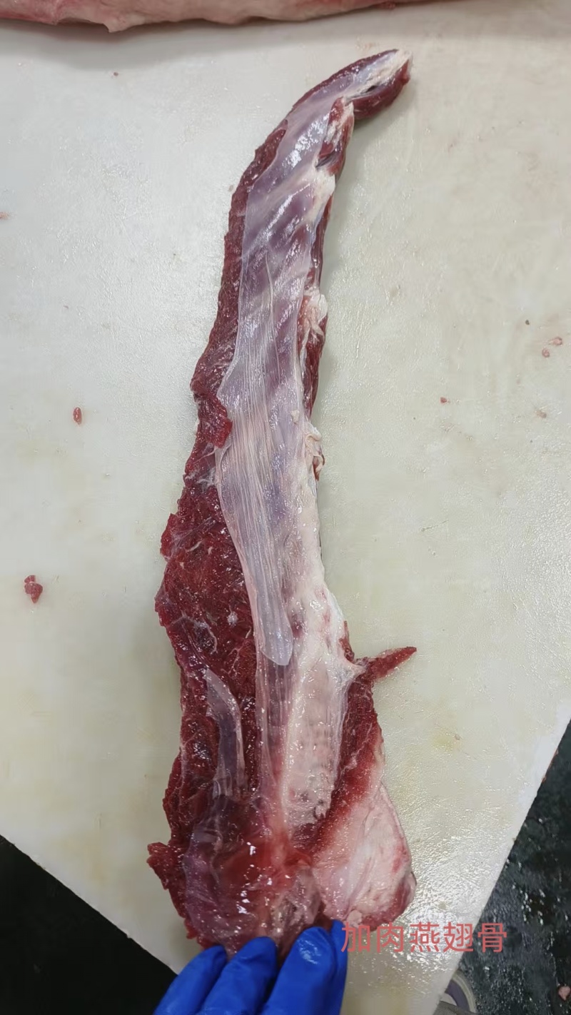 加肉燕翅骨