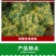 27%春雷溴菌腈春雷霉素正品杀菌剂黄瓜细菌性角斑病杀菌剂
