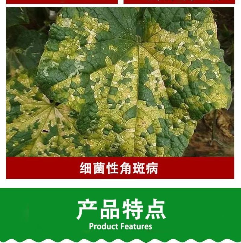 27%春雷溴菌腈春雷霉素正品杀菌剂黄瓜细菌性角斑病杀菌剂