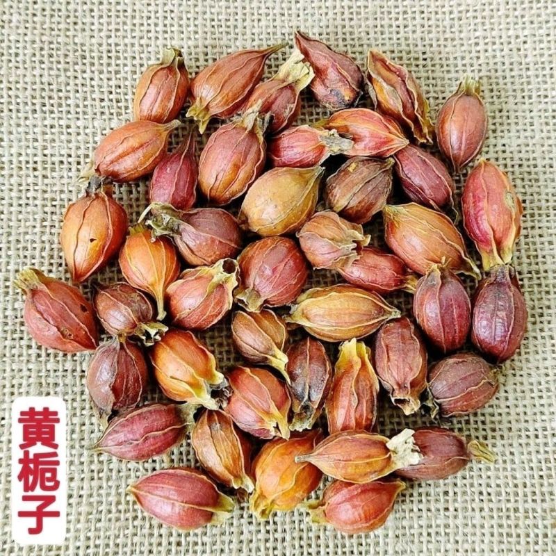 优质黄栀子批发正宗山栀子中药材山桅子桅子多种规格