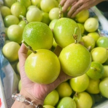 黄金百香果水果批发档口超市水果店**精品