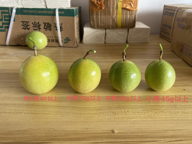 黄金百香果钦蜜9号社区团购电商微商一件代发