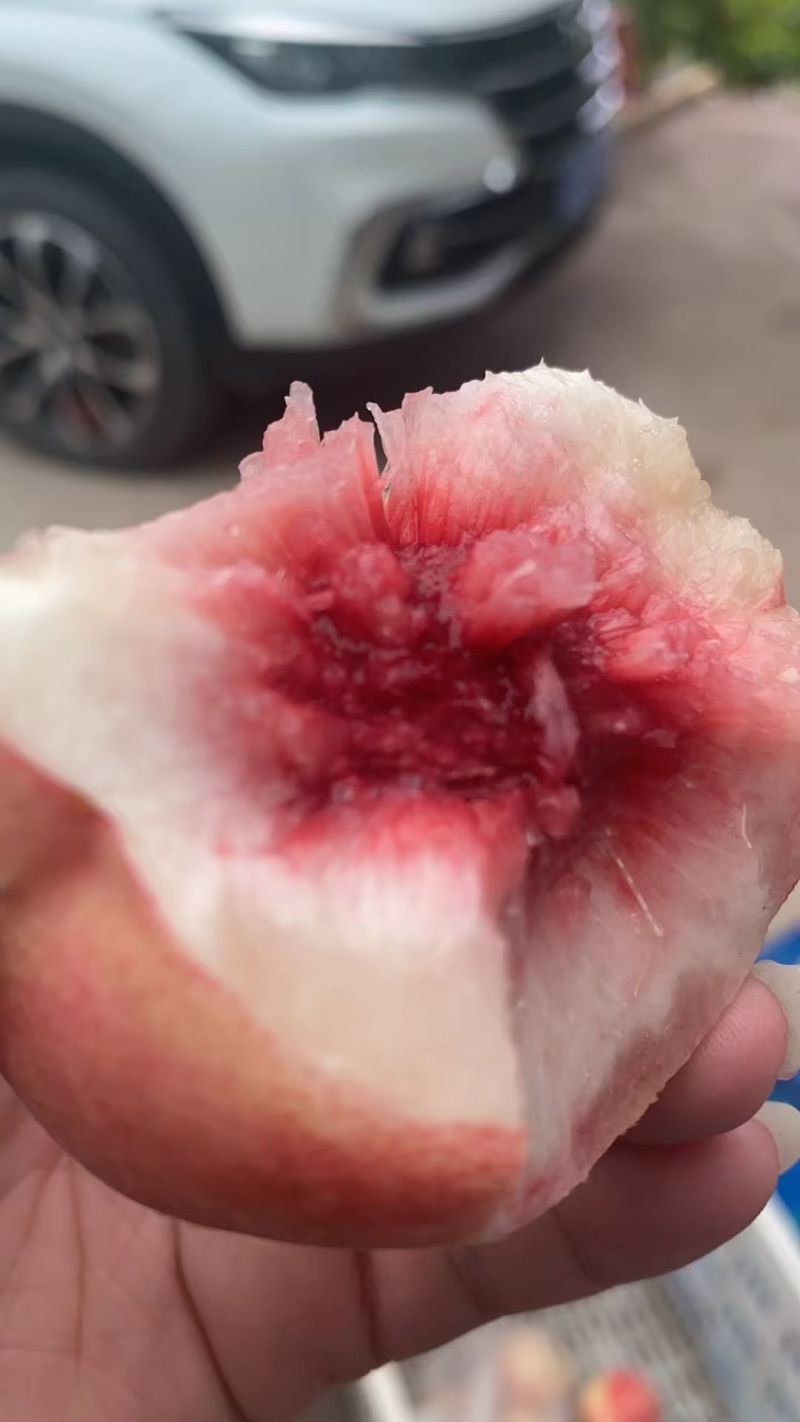 吉林集安白桃