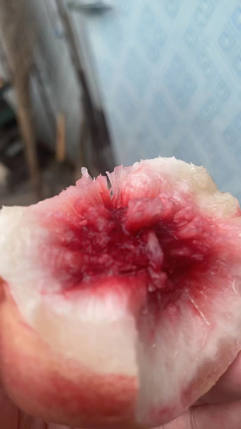 吉林集安白桃