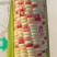 精品太阳花水果玉米
