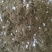 五星花繁星花盆栽阳台庭院四季开花植物花园造景工程绿植