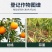 正品45%咪鲜胺柑橘蒜薹水稻炭疽病灰霉病叶斑病保鲜高含量