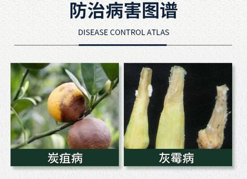 正品45%咪鲜胺柑橘蒜薹水稻炭疽病灰霉病叶斑病保鲜高含量