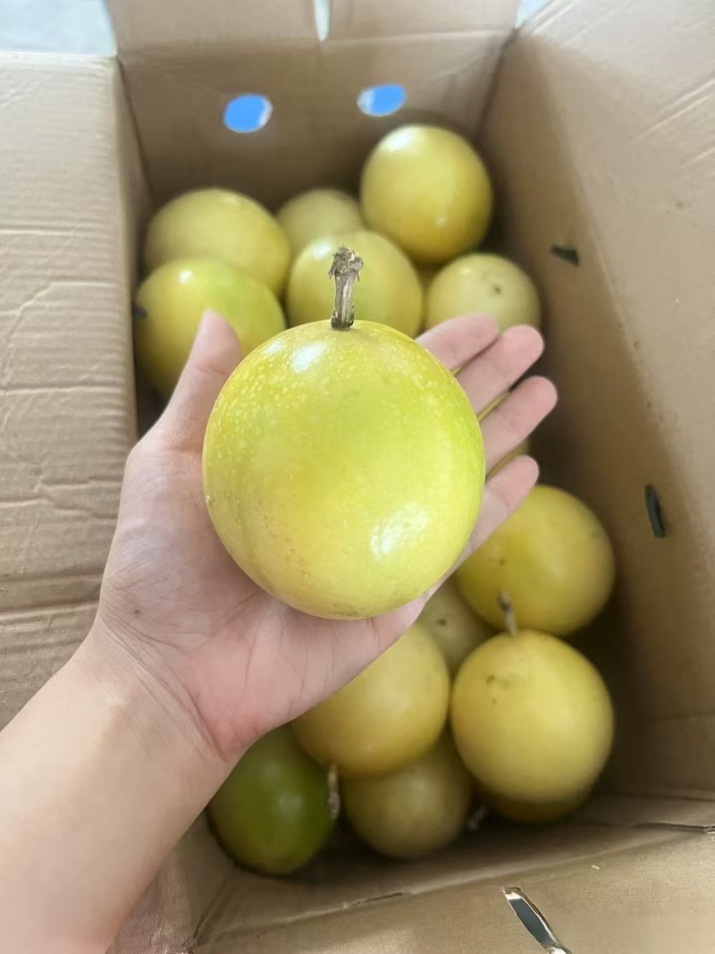 黄金百香果