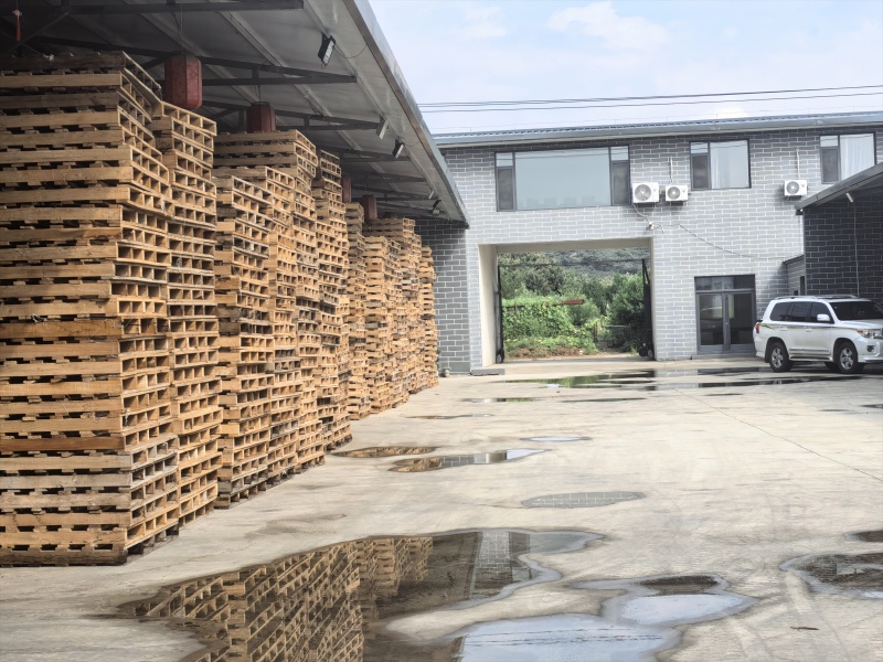 批发各种规格遵化板栗，早栗子313，老树，北峪2号