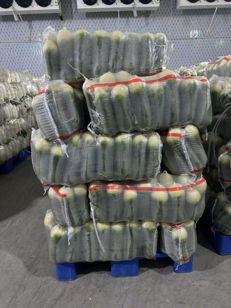 精品水果萝卜