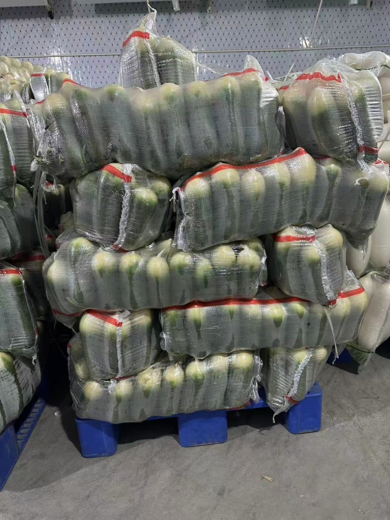 精品水果萝卜