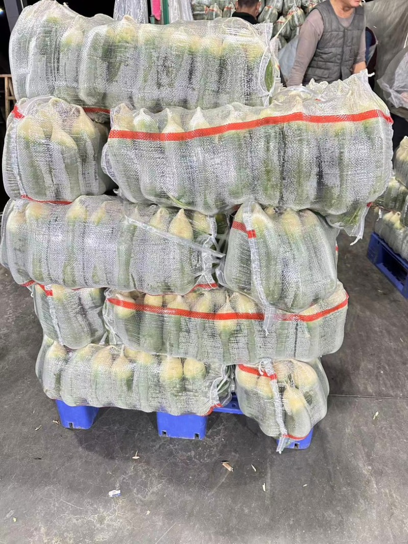 精品水果萝卜