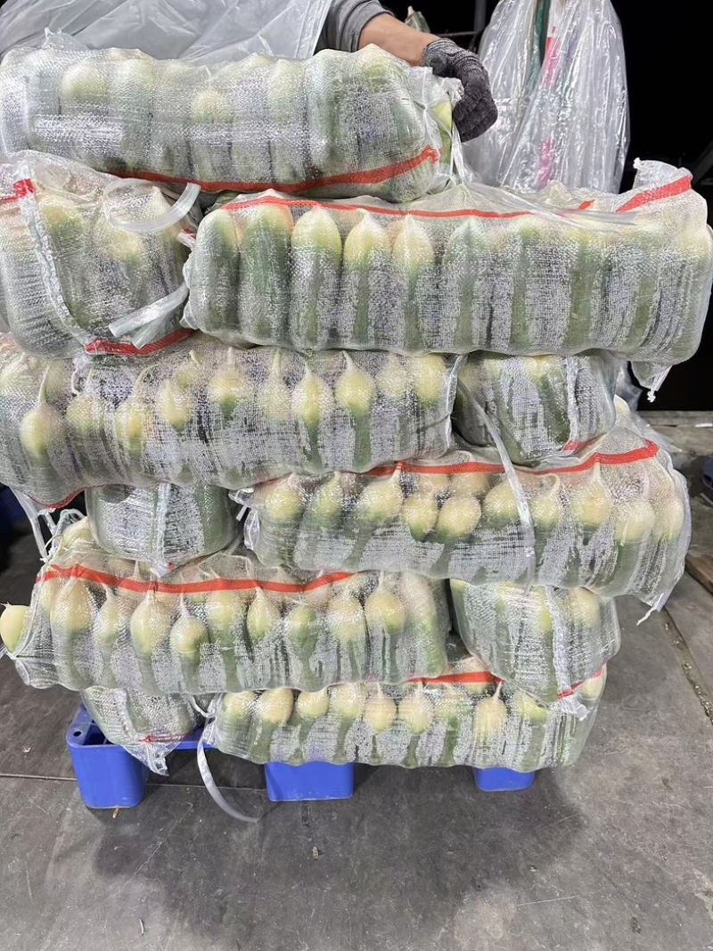 精品水果萝卜