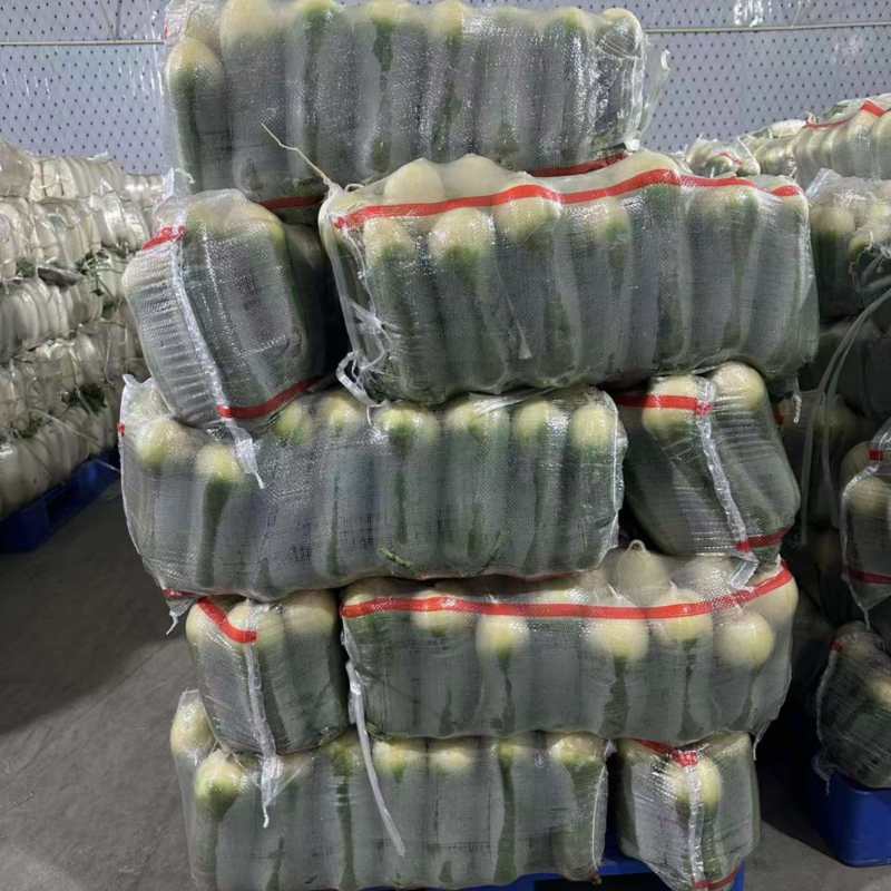 精品水果萝卜
