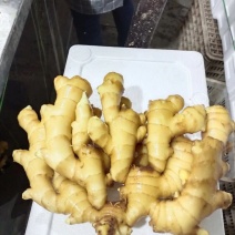 张良生姜批发