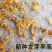 菵草种子耐寒水草冬季水稗草菵米优良饲料食用养鱼养虾棒棒草