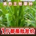 进口高丹王牧草种子杂交王草进口苏丹草种籽喂鱼兔鸭鹅猪牛羊