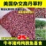 进口高丹王牧草种子杂交王草进口苏丹草种籽喂鱼兔鸭鹅猪牛羊