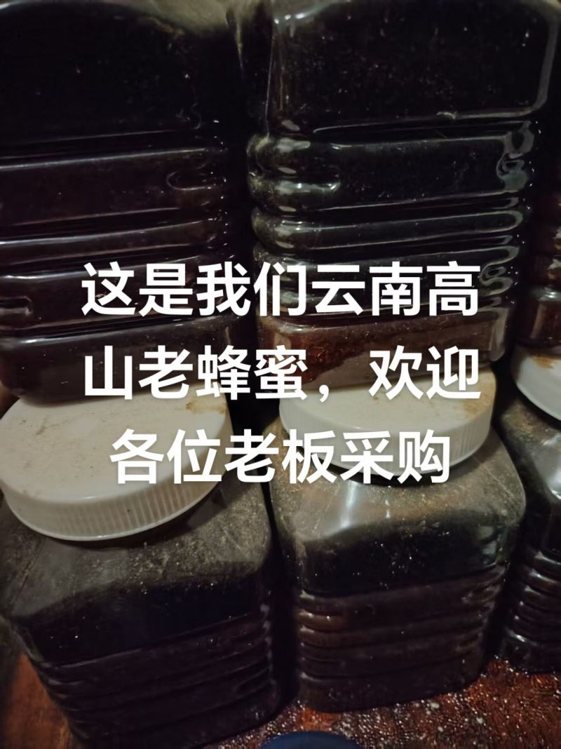 云南高山蜂蜜，老蜂蜜