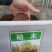 当年新采林木种子柏树香扁柏柏木种子垂丝柏璎珞柏