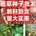 当季新籽茜草种子中药红根草简单易种红内消多年生草本植物籽