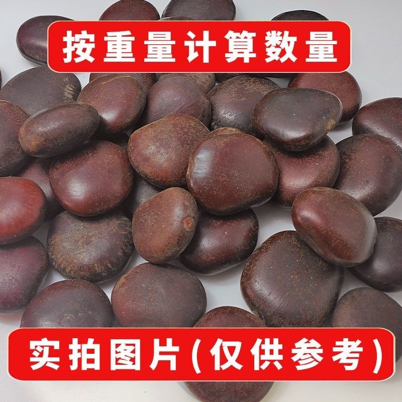 木腰子种子菩提子平安豆罗汉豆过江龙子原籽厂家按斤挂饰钥匙