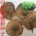 新采紫檀种子大叶紫檀种子小叶紫檀种子印度紫檀种子包