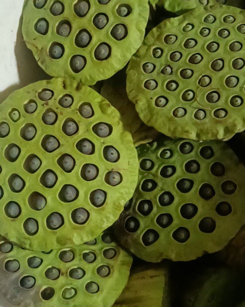 德阳中江莲子