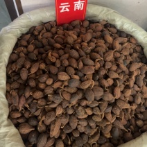 草果