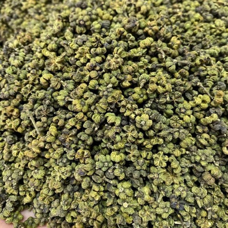 精选吴茱萸中药材正品新货正宗吴茱萸无硫加新货吴茱萸批发