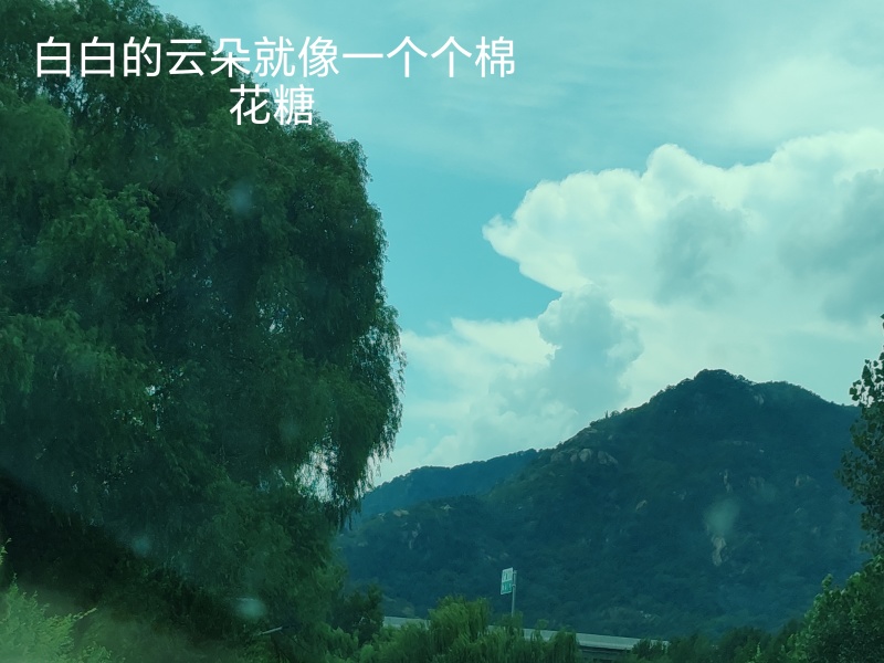 碧玉猕猴桃产地代办