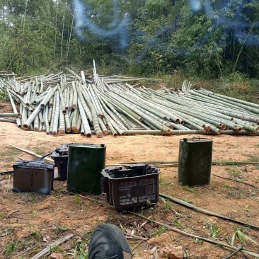 毛竹加工品大量批发，整车发货