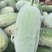 【水果冬瓜】万亩基地，货量充足，质量上乘，货发全国！