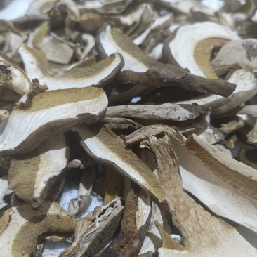 云南野生菌牛肝菌干货骨朵烤制精品易保批发更便宜