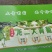 龙二大青葡萄