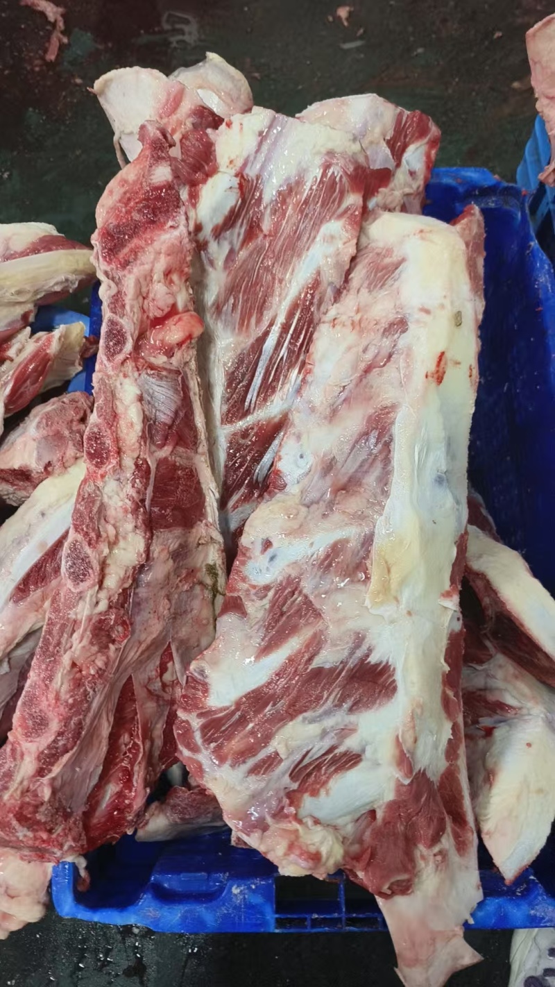 带肉牛胸骨