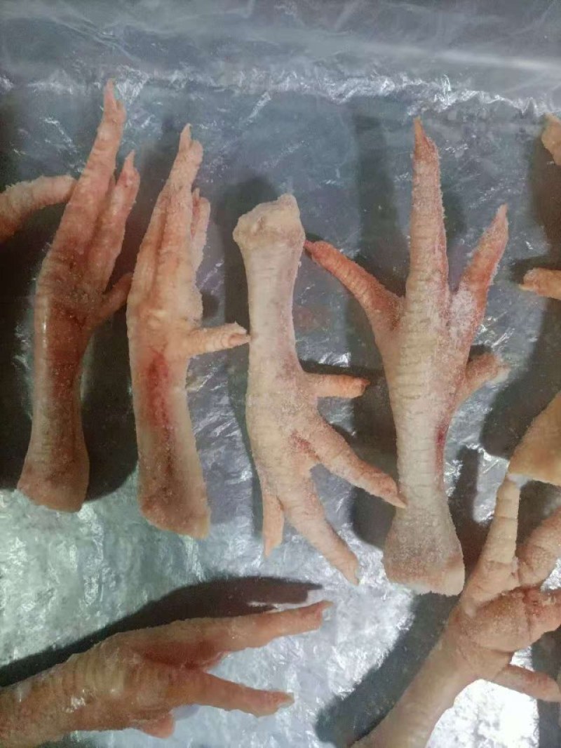 冷冻品鸡爪，加工鸡爪，鸡腿，去骨分割等业务