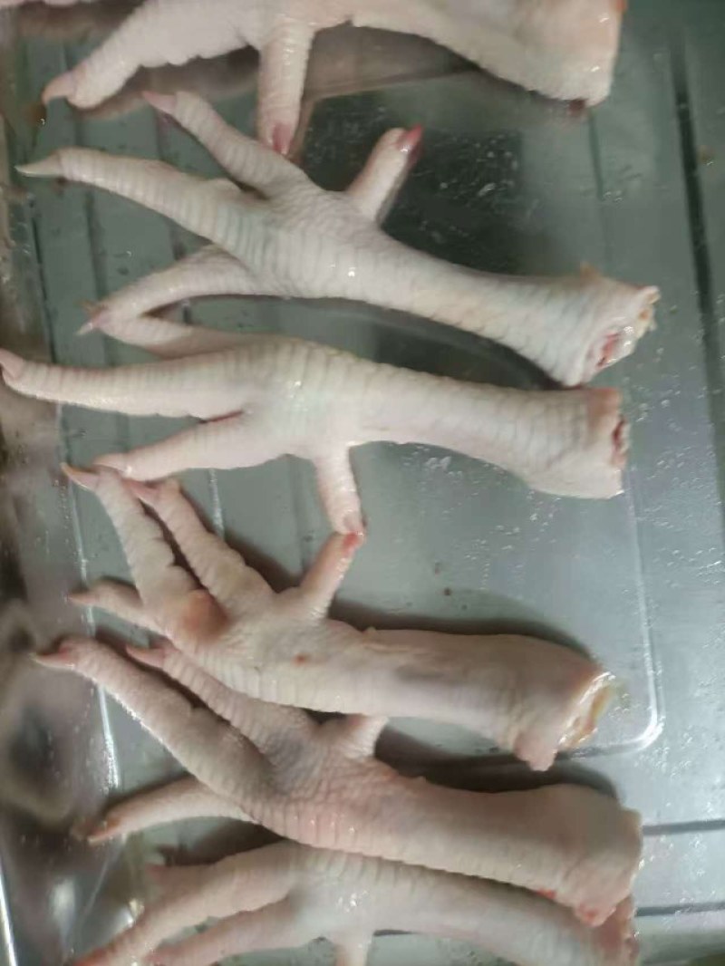 冷冻品鸡爪，加工鸡爪，鸡腿，去骨分割等业务