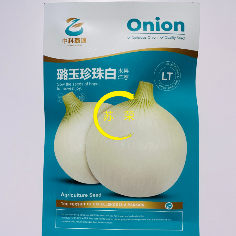 璐玉珍珠白水果洋葱种子中熟白皮洋葱种子甘甜微辣圆葱种子